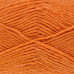 Orange pippin - 5864